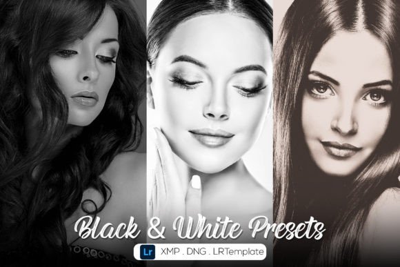 Download 15 B&amp;W - Professional Lightroom Presets - Presets Collection