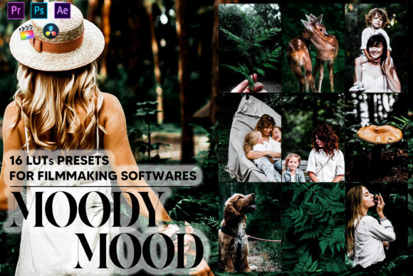 Download 16 Moody Mood Video LUTs Presets - Presets Collection