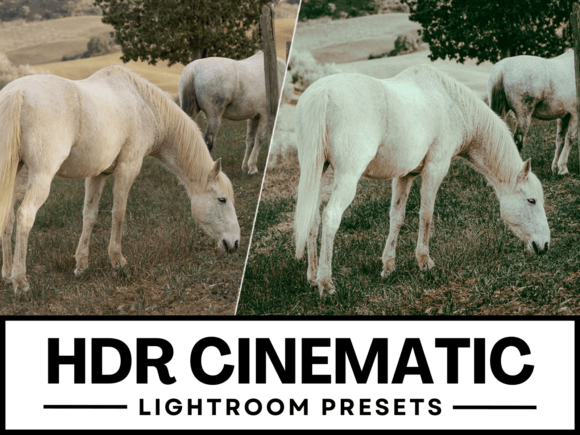 Download 3 HDR Cinematic Lightroom Presets - Presets Collection