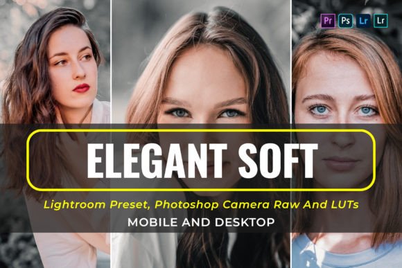Download 10 Elegant Soft Presets and Luts - Presets Collection