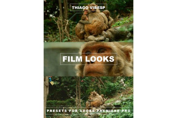 Download Red Camera Presets for Premiere Pro - Presets Collection