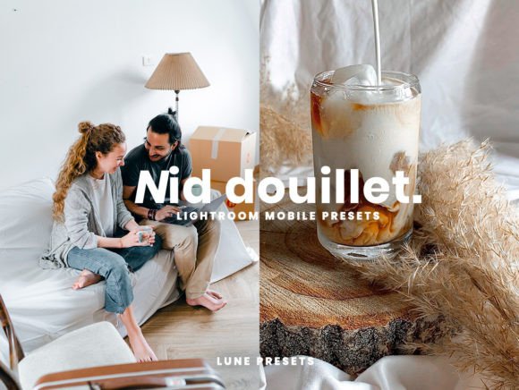 Download Nid Douillet Lightroom Presets - Presets Collection