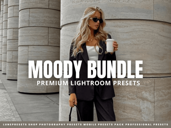 Download Moody Lightroom Presets Bundle - Presets Collection