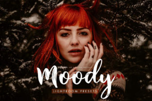 Download Moody Presets for Desktop + Mobile - Presets Collection