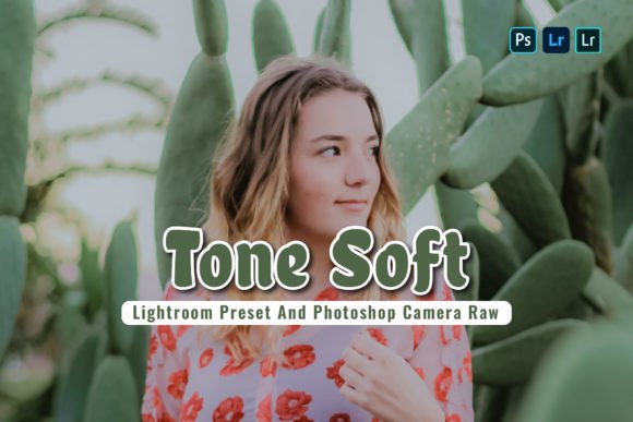 Download 15 Tone Soft Lightroom Presets - Presets Collection