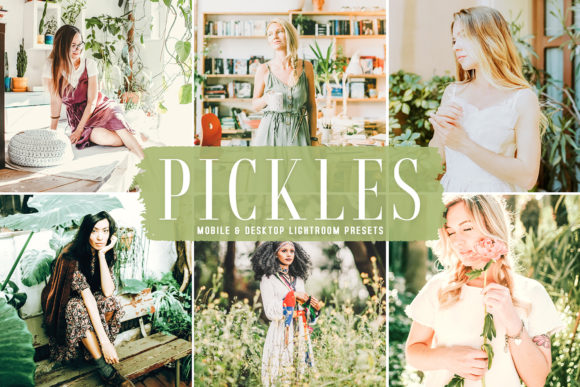 Download Pickles Pro Lightroom Presets - Presets Collection