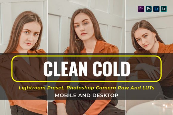 Download 10 Clean Cold Presets and Luts - Presets Collection