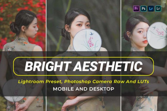 Download 10 Bright Aesthetic V2 Presets and Luts - Presets Collection
