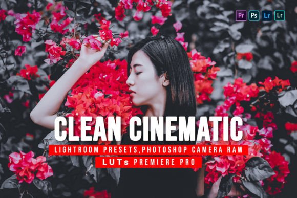 Download 10 Clean Cinematic Presets and Luts - Presets Collection
