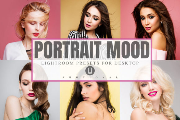 Download 22 Portrait Mood Lightroom Presets - Presets Collection