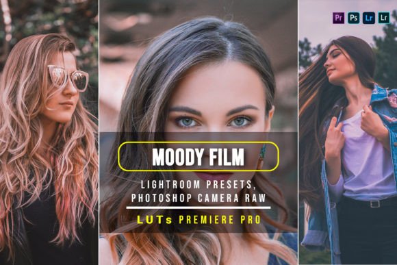 Download 10 Moody Film Presets and Luts - Presets Collection