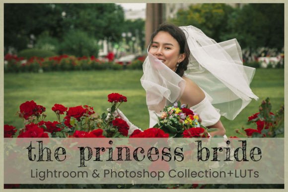 Download Princess Bride Lightroom Presets Desktop - Presets Collection